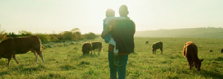 ocupaciones-importancia-empleo